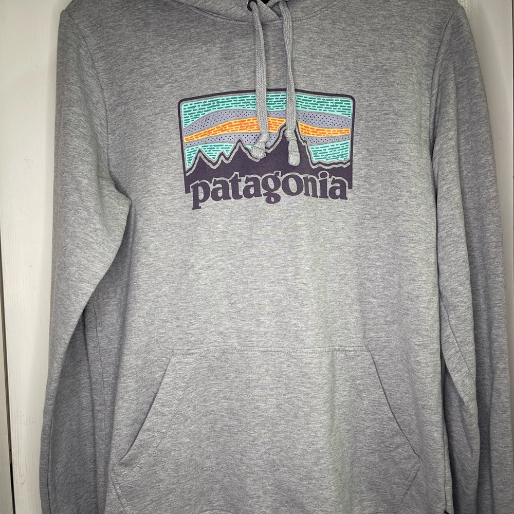 Patagonia Light Gray Men's Hoodie with Logo